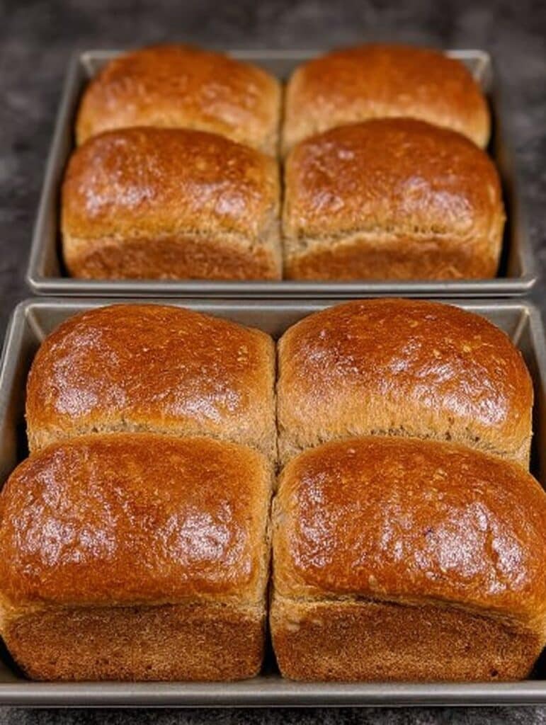 Pan integral hecho en casa recién horneado en moldes rectangulares, con corteza dorada y brillo apetitoso.