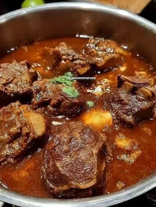 Birria de res tradicional mexicana servida en plato hondo con cebolla, cilantro y tortillas de maíz.